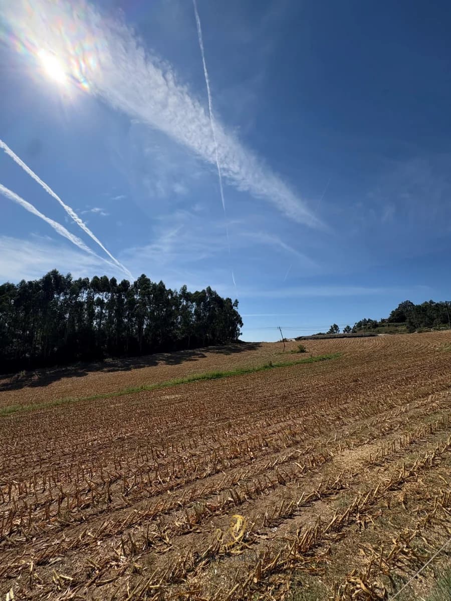 Property featured image